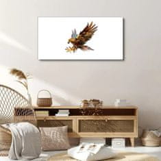 COLORAY.SK Obraz Canvas Zvieracie vták Eagle 100x50 cm
