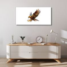 COLORAY.SK Obraz Canvas Zvieracie vták Eagle 100x50 cm
