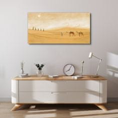 COLORAY.SK Obraz canvas Púštna slnka zvieratá 100x50 cm