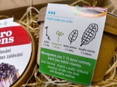 AUR Microgreens - kúzelná záhradka, mikro bylinky - 2x semienka červenej kapusty