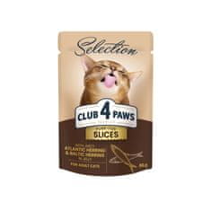 Club4Paws Premium Kapsička pre mačky s atlantickým sleďom a baltským sleďom v želé 12x80g