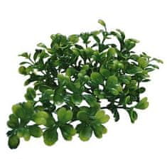 Lucky Reptile Turtle Plants Bacopa cca 40 cm