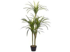 Beliani Umelá rastlina v kvetináči 147 cm DRACAENA ANITA