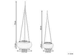 Beliani Sada 2 závesných kvetináčov z morskej trávy prírodná REMORA