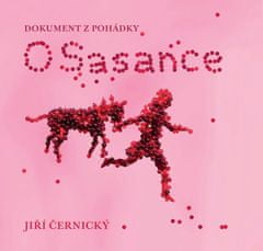 Jiří Černický: O Sasance - dokument z pohádky