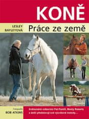 Lesley Bayleyová: Koně - Práce ze země