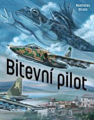 Bitevní pilot