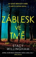 Stacy Willingham: Záblesk ve tmě