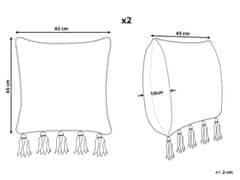 Beliani Sada 2 bavlnených vankúšov s geometrickým vzorom a strapcami 45 x 45 cm béžová / čierna SAMBUCUS