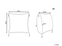 Beliani Sada 2 vankúšov s geometrickým vzorom so strapcami 45 x 45 cm strieborná CAMELLIA