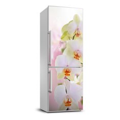 Wallmuralia.sk Nálepka fototapeta chladnička Biela orchidea 70x190 cm