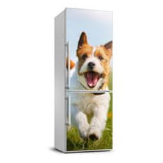 Wallmuralia.sk Foto nálepka na chladničku Pes Jack Russell 70x190 cm