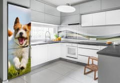 Wallmuralia.sk Foto nálepka na chladničku Pes Jack Russell 70x190 cm