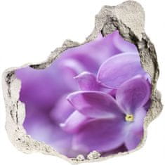 Wallmuralia.sk Diera 3D fototapety nálepka Fialové kvety 125x125 cm