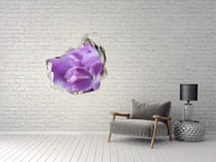 Wallmuralia.sk Diera 3D fototapety nálepka Fialové kvety 125x125 cm