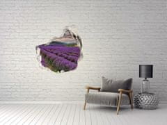 Wallmuralia.sk Diera 3D fototapety nálepka Pole levanduľa 75x75 cm