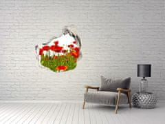 Wallmuralia.sk Diera 3D fototapety na stenu Kvety maku 125x125 cm