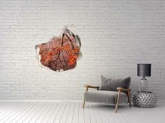 Wallmuralia.sk Diera 3D fototapety na stenu Listy vody 125x125 cm