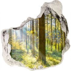 Wallmuralia.sk Diera 3D v stene na stenu Forest na slnku 75x75 cm