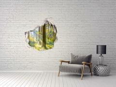 Wallmuralia.sk Diera 3D v stene na stenu Forest na slnku 75x75 cm