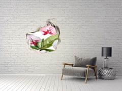 Wallmuralia.sk Diera 3D fototapety na stenu Ružové orchidey 125x125 cm