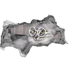 Wallmuralia.sk Diera 3D fototapeta nálepka Mačka s okuliarmi 115x88 cm