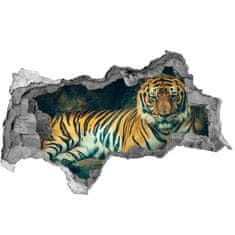 Wallmuralia.sk Diera 3D fototapeta nálepka Tiger cave 115x88 cm