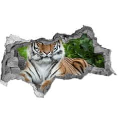 Wallmuralia.sk Diera 3D fototapeta nálepka Tiger ussurijský 95x73 cm