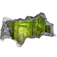 Wallmuralia.sk Diera 3D v stene na stenu Listnatý les 95x73 cm