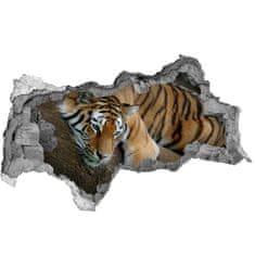 Wallmuralia.sk Diera 3D fototapeta nálepka Tiger na strome 150x115 cm