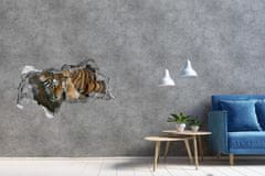 Wallmuralia.sk Diera 3D fototapeta nálepka Tiger na strome 150x115 cm