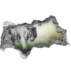 Wallmuralia.sk Diera 3D fototapeta nálepka Biely tiger 95x73 cm