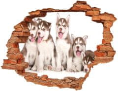 Wallmuralia.sk Diera 3D fototapeta nálepka Husky šteňatá 148x115 cm