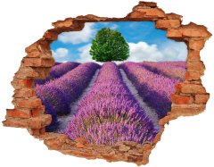 Wallmuralia.sk Fototapeta diera na stenu 3D Pole levanduľa 120x93 cm