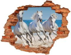 Wallmuralia.sk Diera 3D fototapeta na stenu White horse beach 90x70 cm