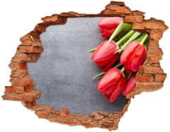 Wallmuralia.sk Diera 3D fototapeta nálepka Červené tulipány 120x93 cm