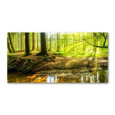 Wallmuralia.sk Foto obraz akrylové sklo Slnečné lúče les 120x60 cm 2 prívesky