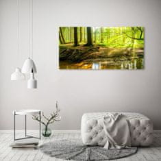 Wallmuralia.sk Foto obraz akrylové sklo Slnečné lúče les 120x60 cm 2 prívesky