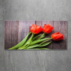 Wallmuralia.sk Foto obraz akryl do obývačky Červené tulipány 100x50 cm 2 prívesky