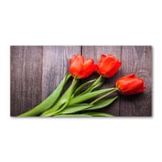 Wallmuralia.sk Foto obraz akryl do obývačky Červené tulipány 100x50 cm 2 prívesky