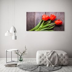 Wallmuralia.sk Foto obraz akryl do obývačky Červené tulipány 100x50 cm 2 prívesky