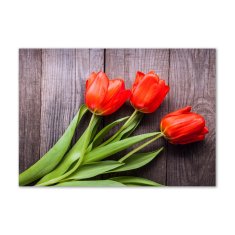 Wallmuralia.sk Foto obraz akryl do obývačky Červené tulipány 100x50 cm 2 prívesky