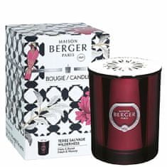 Maison Berger Paris Vonná sviečka Prisme Divočina granátová 240 g