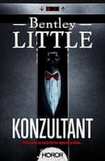 Bentley Little: Konzultant