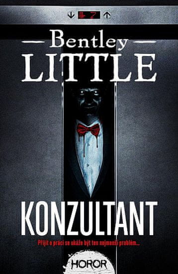 Bentley Little: Konzultant