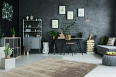 eoshop Kusový koberec Curacao 490 taupe (Variant: 160 x 230 cm)