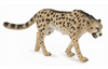 figúrka Gepard kráľovský