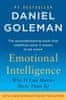 Daniel Goleman: Emotional Intelligence