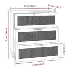 Petromila vidaXL Komoda hnedá 60x30x70 cm masívna borovica a prírodný ratan