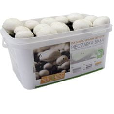 PLANTO Sada na pestovanie Šampiňón biely 5L (Agaricus Bisporus) PO-5L-ZB